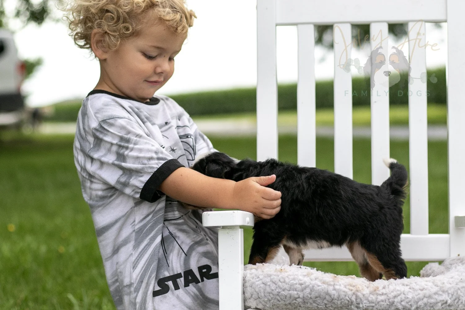 Anne Shirley Bernedoodle Puppy-991.jpg