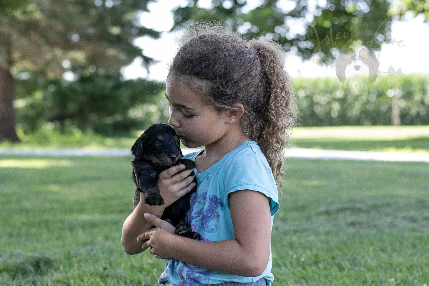 Zion Bernedoodle Puppy-342.jpg
