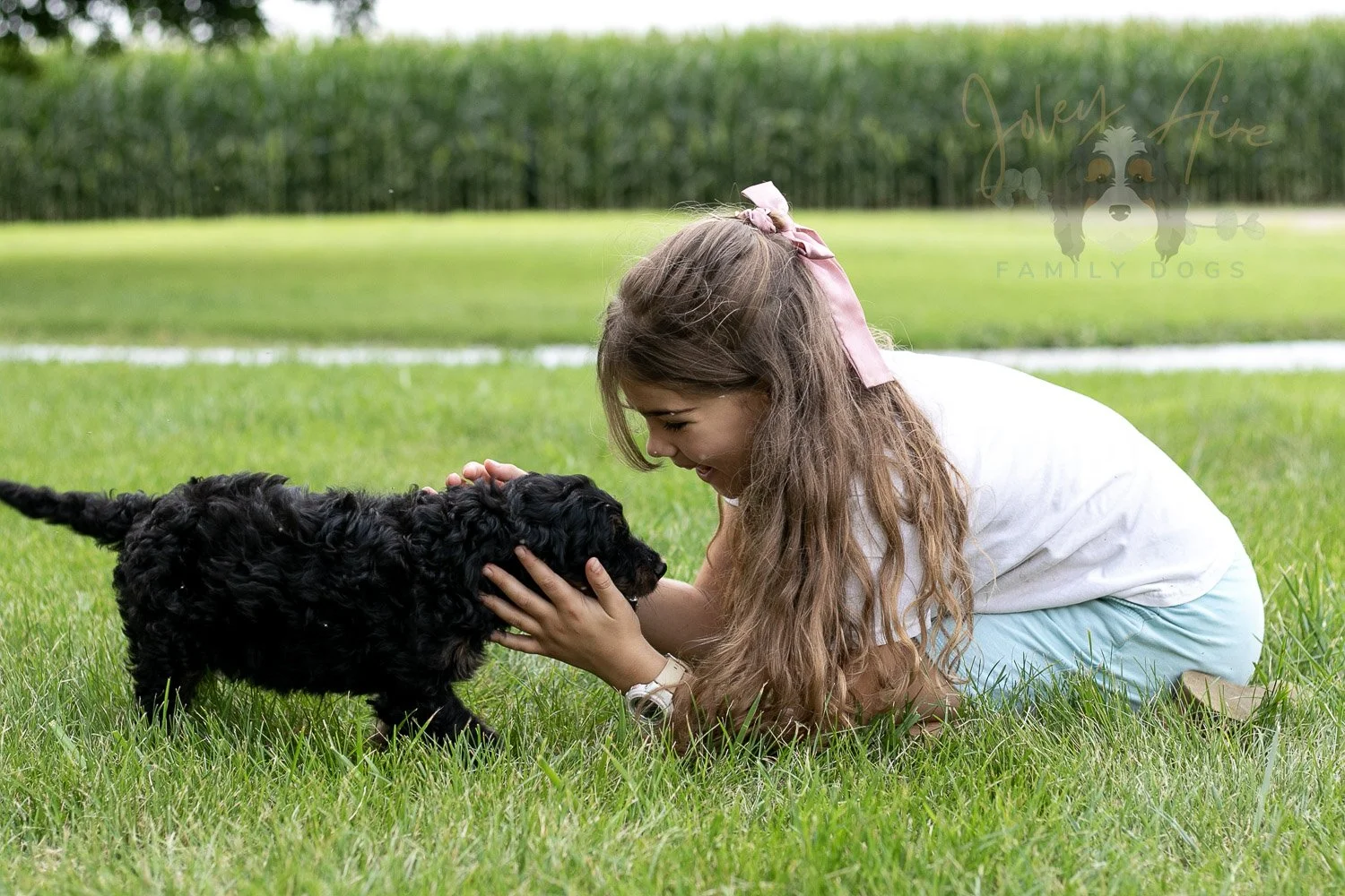 Bryce Bernedoodle Puppy-72.jpg