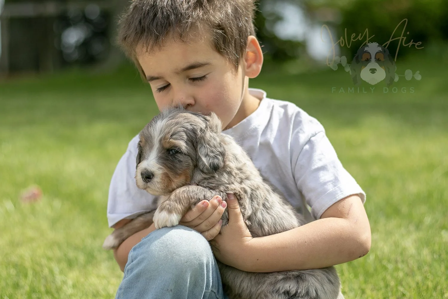Drum Bernedoodle Puppy-32.jpg