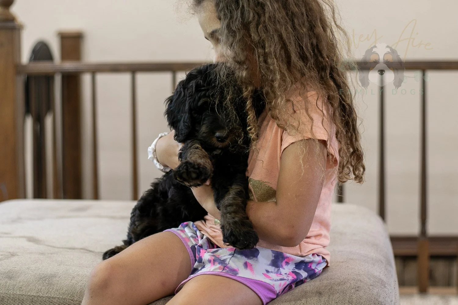 Denali Bernedoodle Puppy-541.jpg