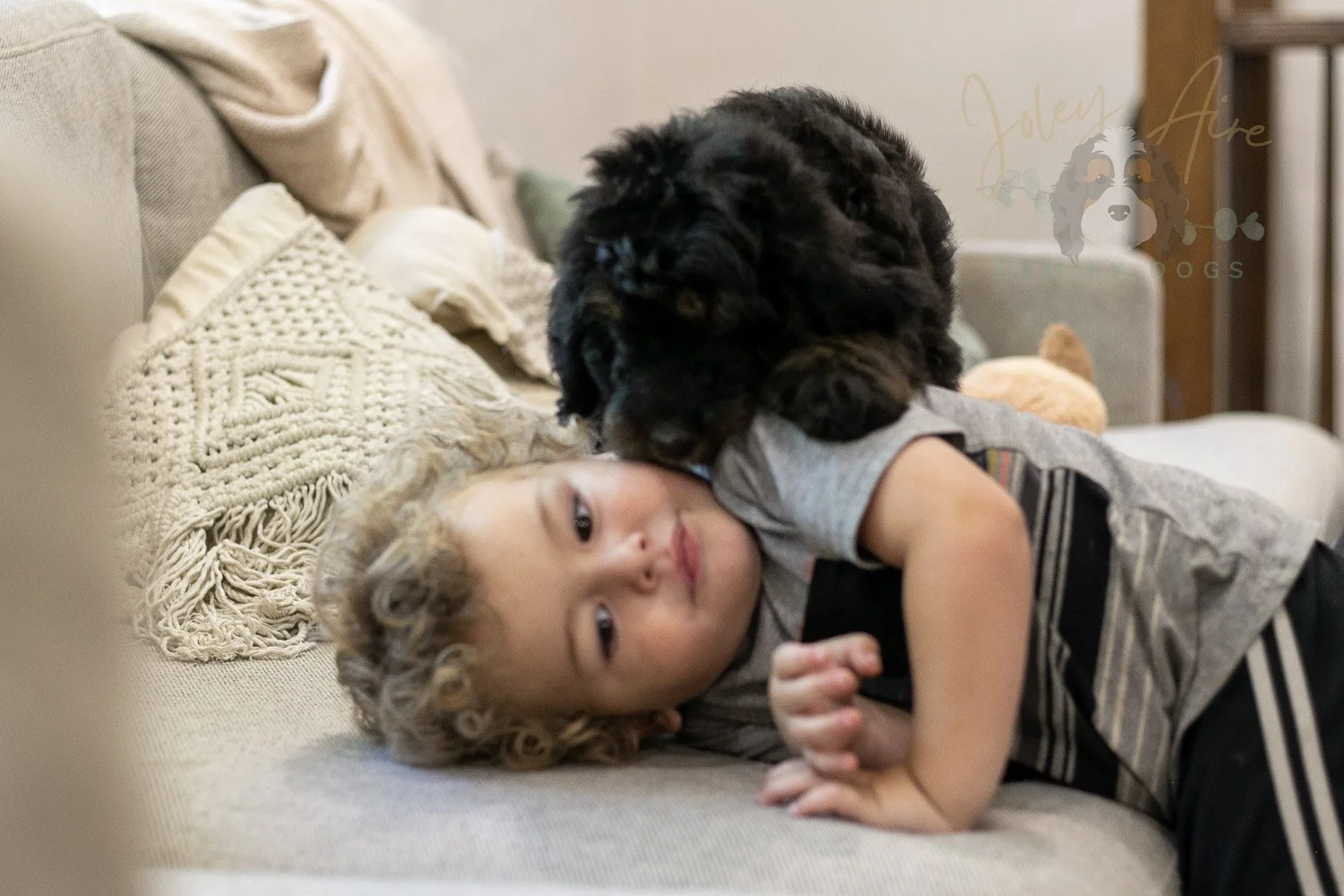 Olympic Bernedoodle Puppy-457.jpg