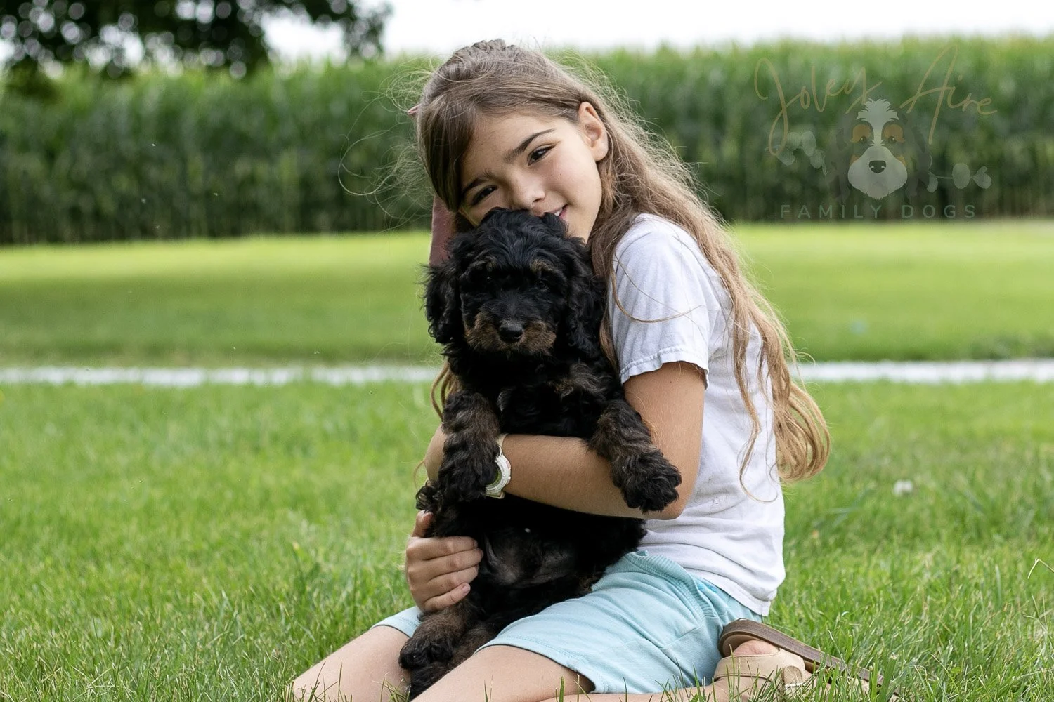 Bryce Bernedoodle Puppy-71.jpg