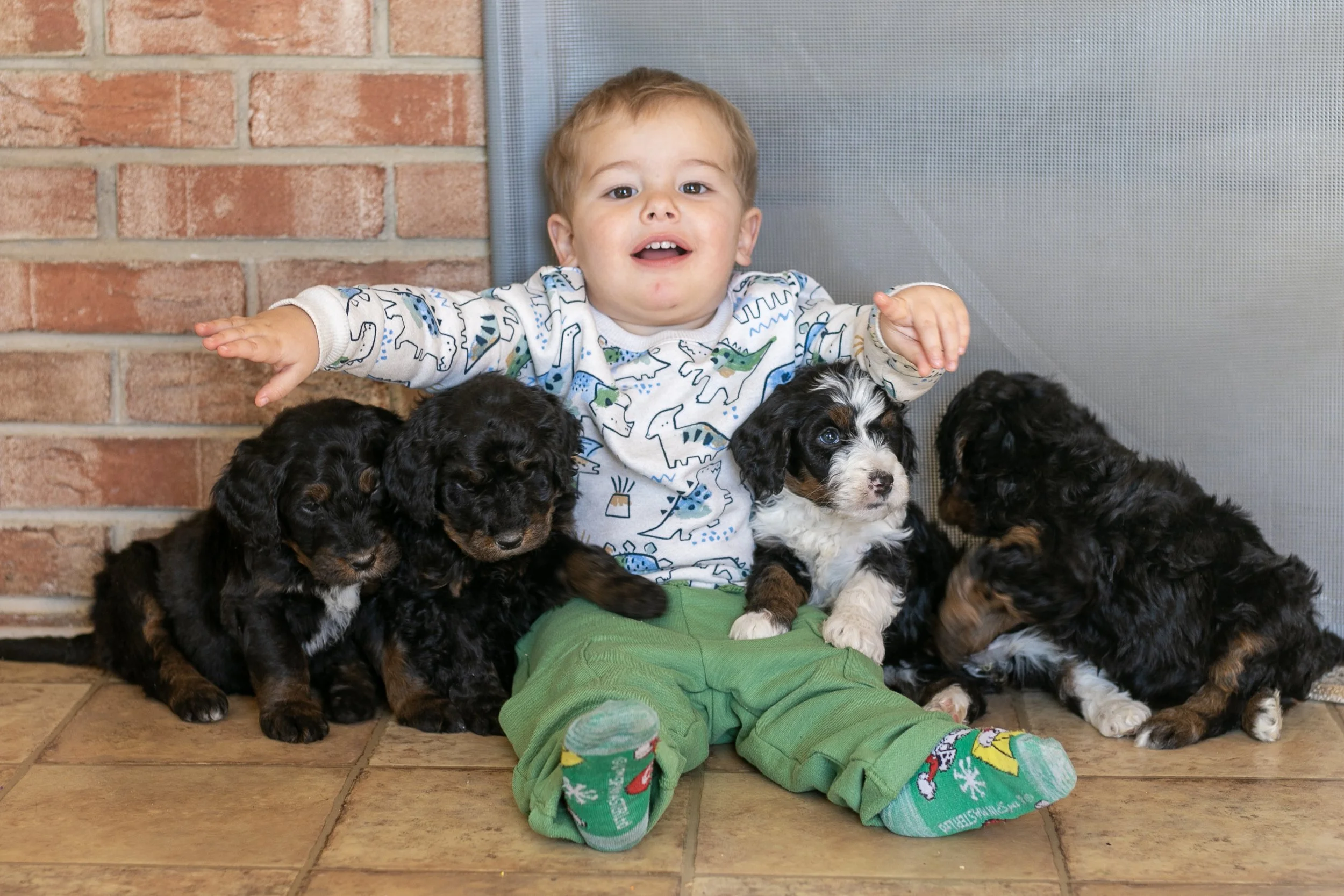 Whole Litter Disney Princess Litter-10.jpg