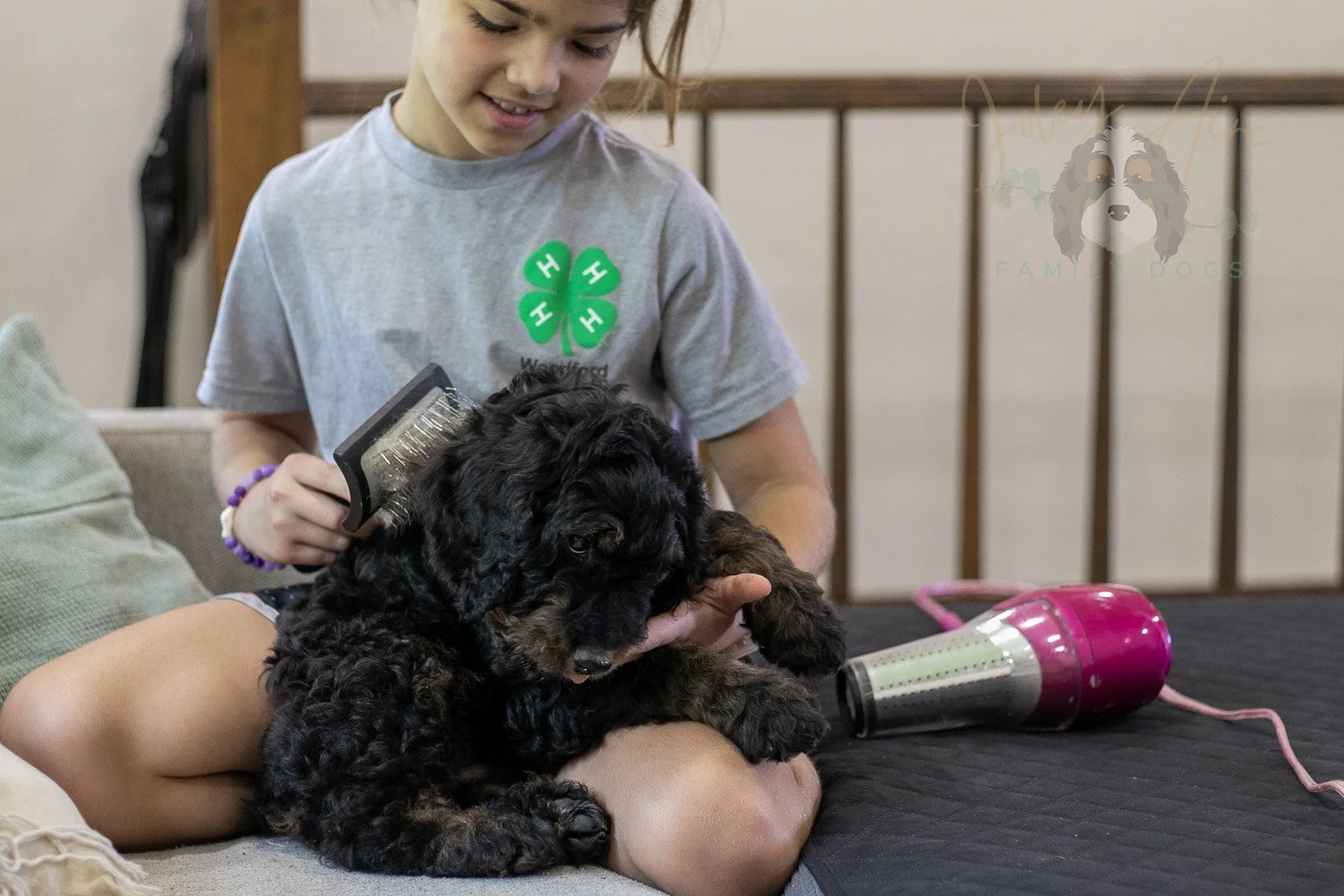 Bryce Bernedoodle Puppy-403.jpg