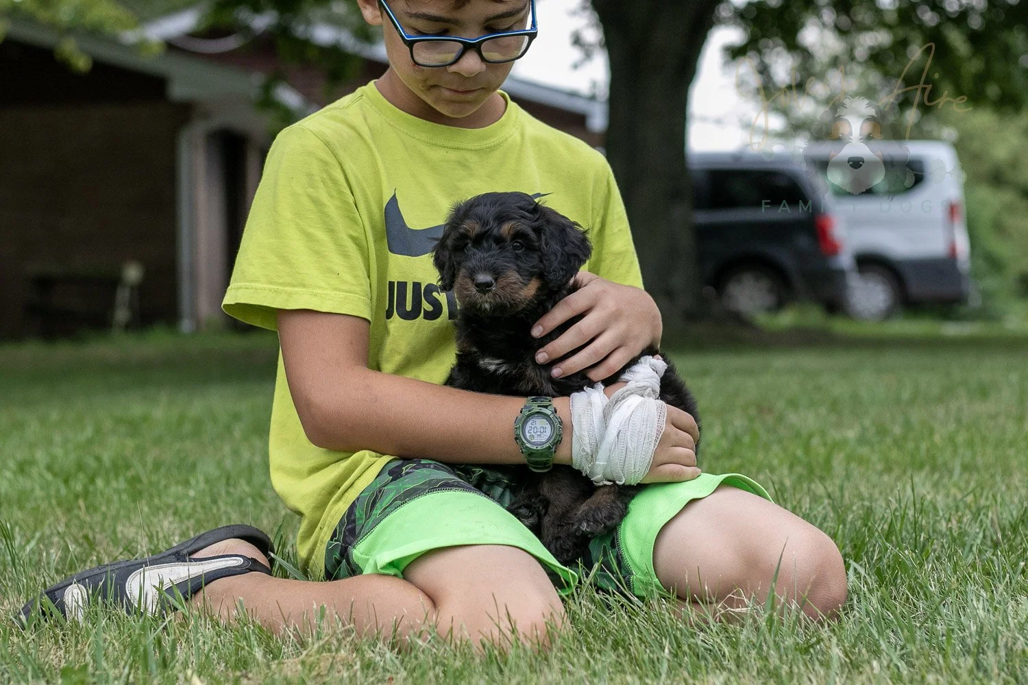 Olympic Bernedoodle Puppy-43.jpg