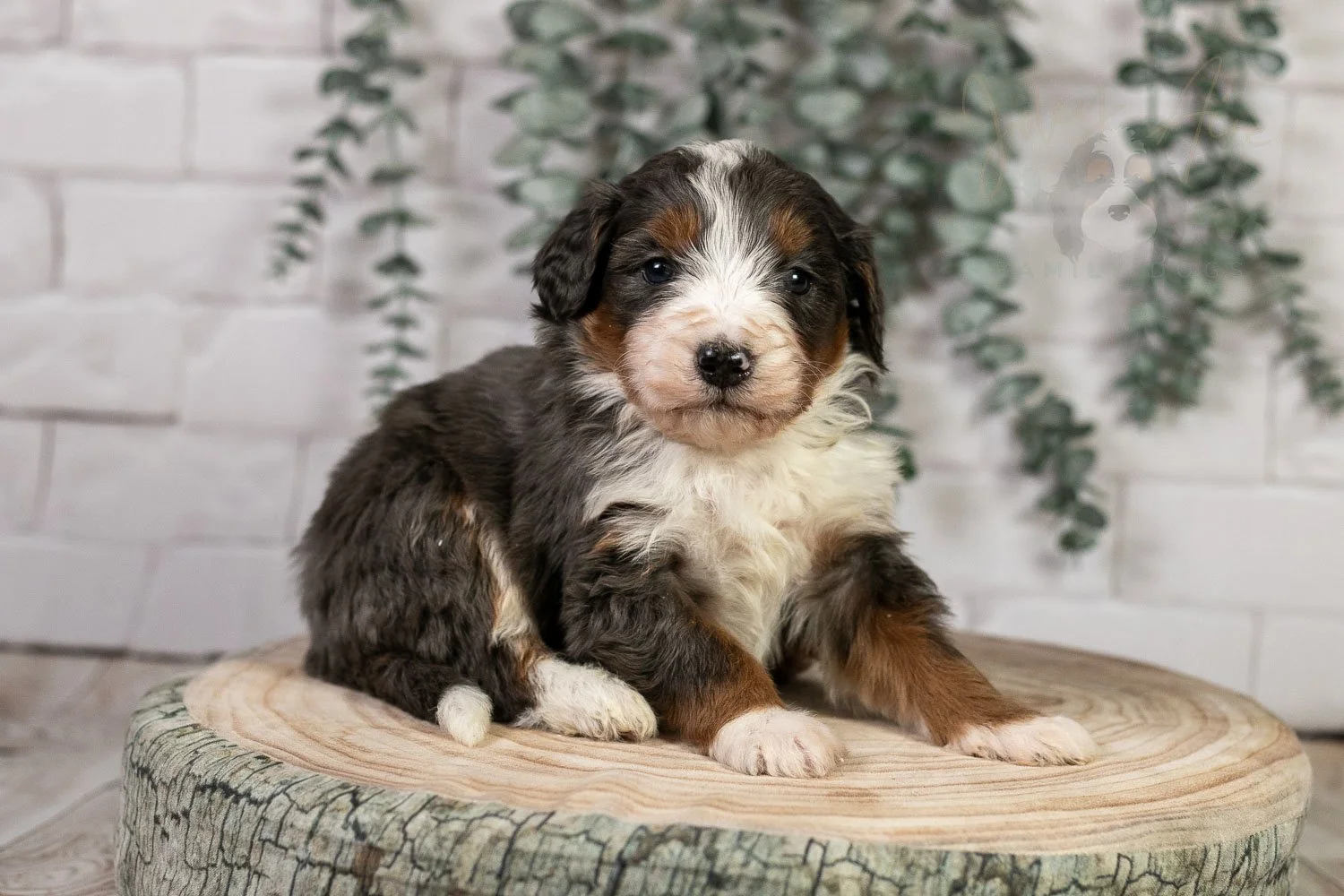 Nordic 🔴 Reserved