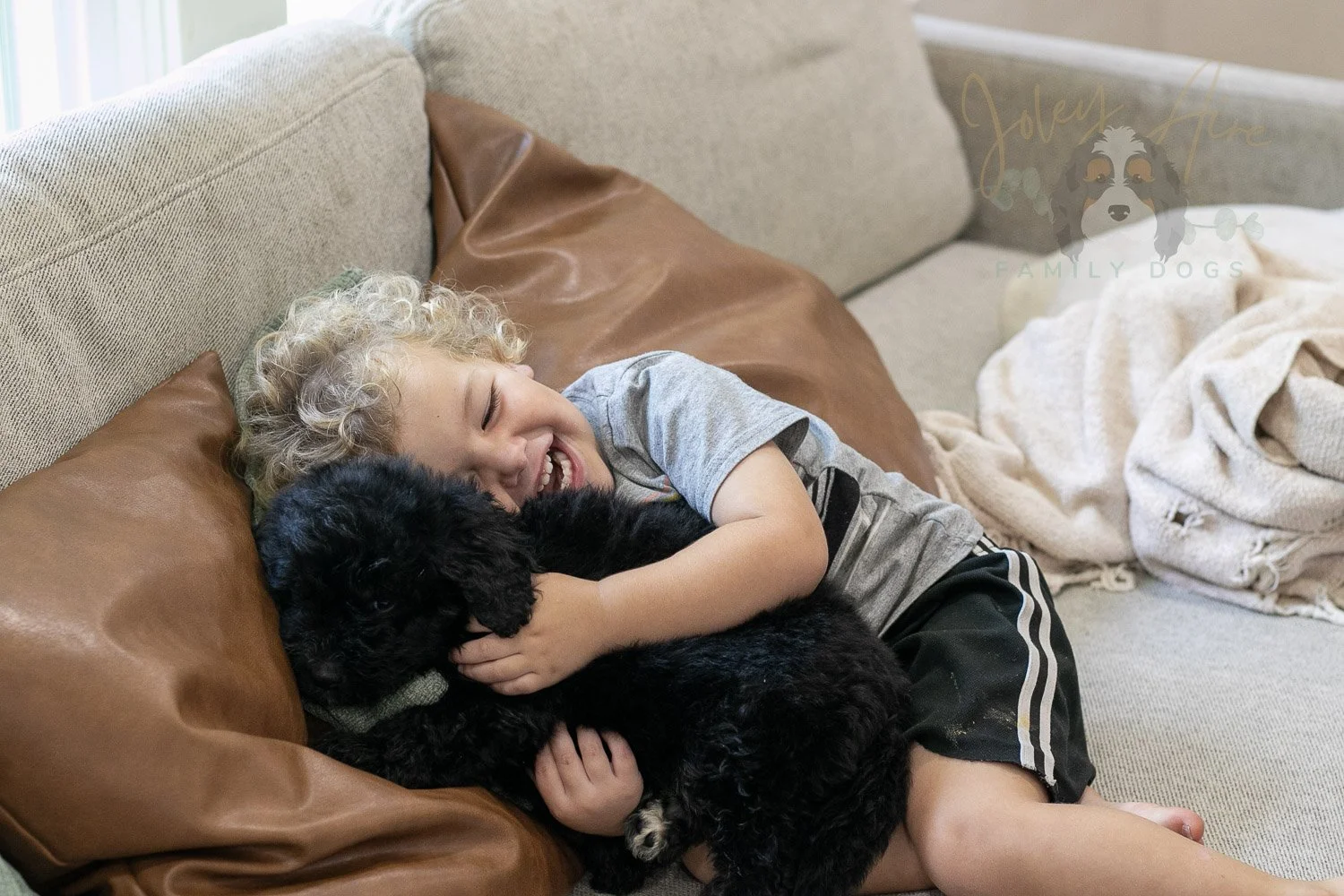 Claude Bernedoodle Puppy-235.jpg