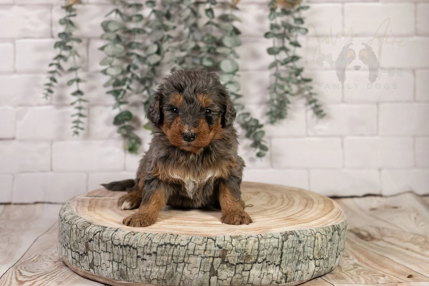 Summit 🔴 Reserved