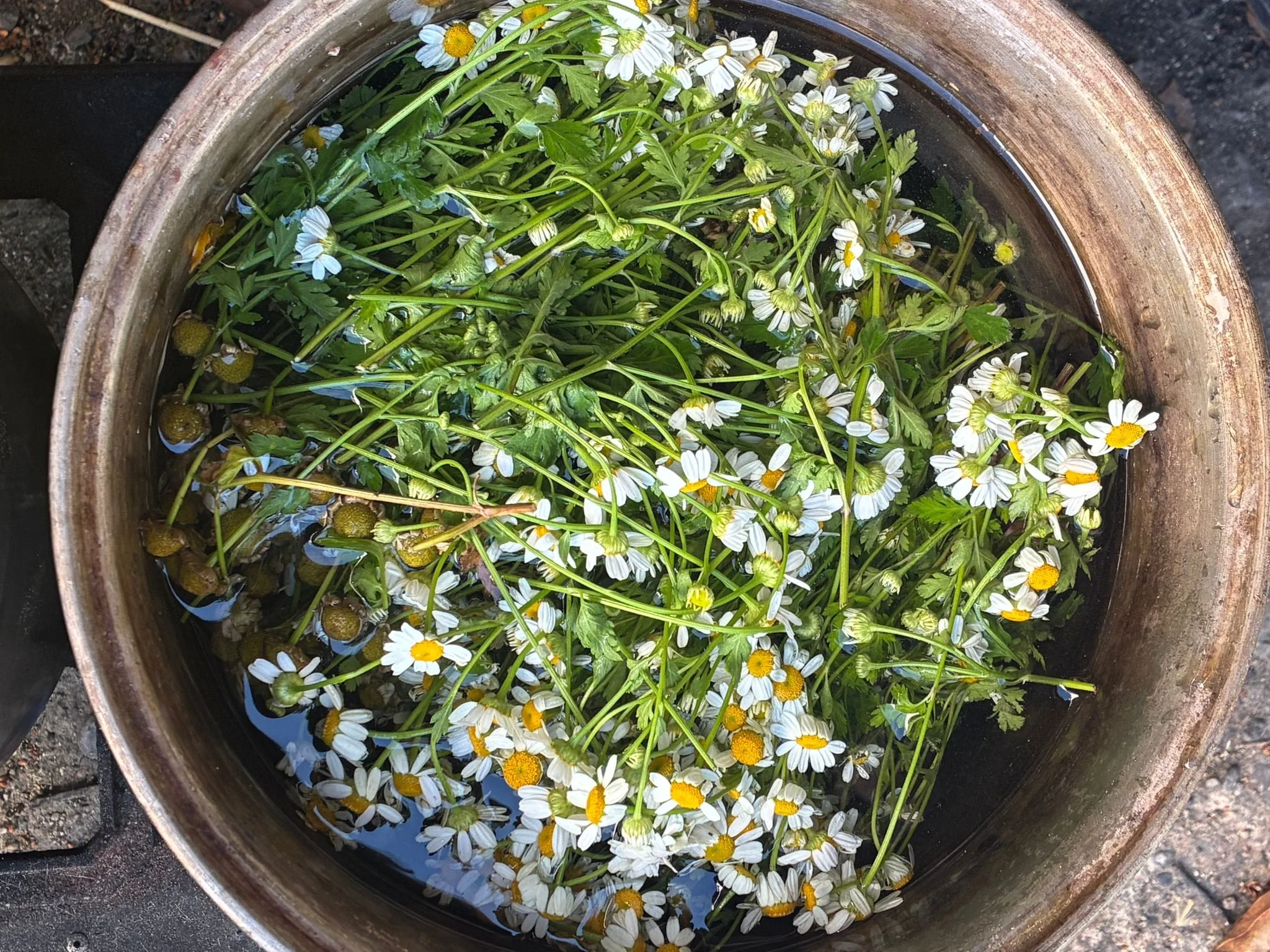 WhatsApp Image 2026-04-26 at 21.56.14.jpeg