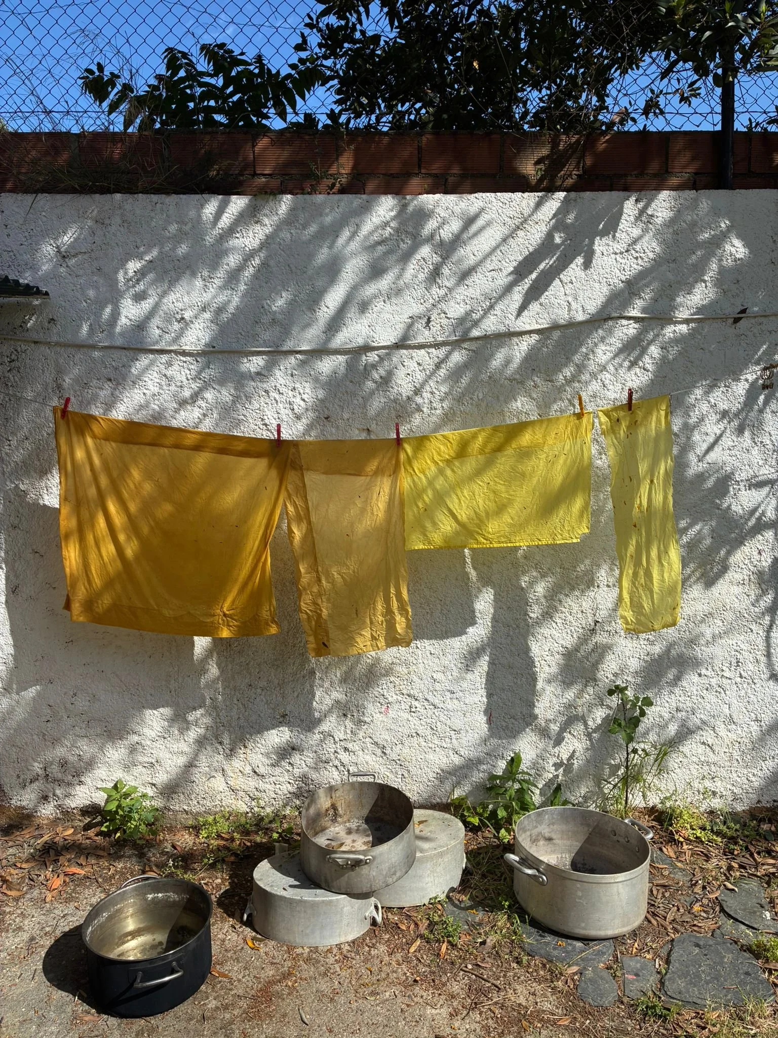 WhatsApp Image 2026-04-26 at 21.56.14 (2).jpeg