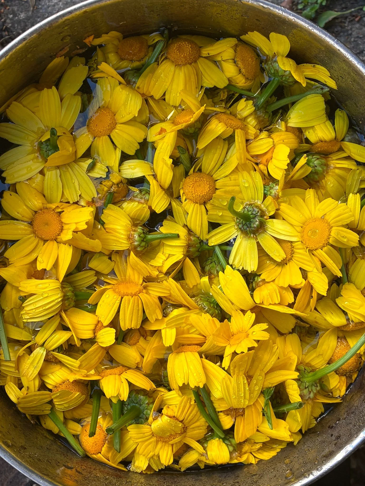 WhatsApp Image 2026-04-26 at 21.56.13.jpeg