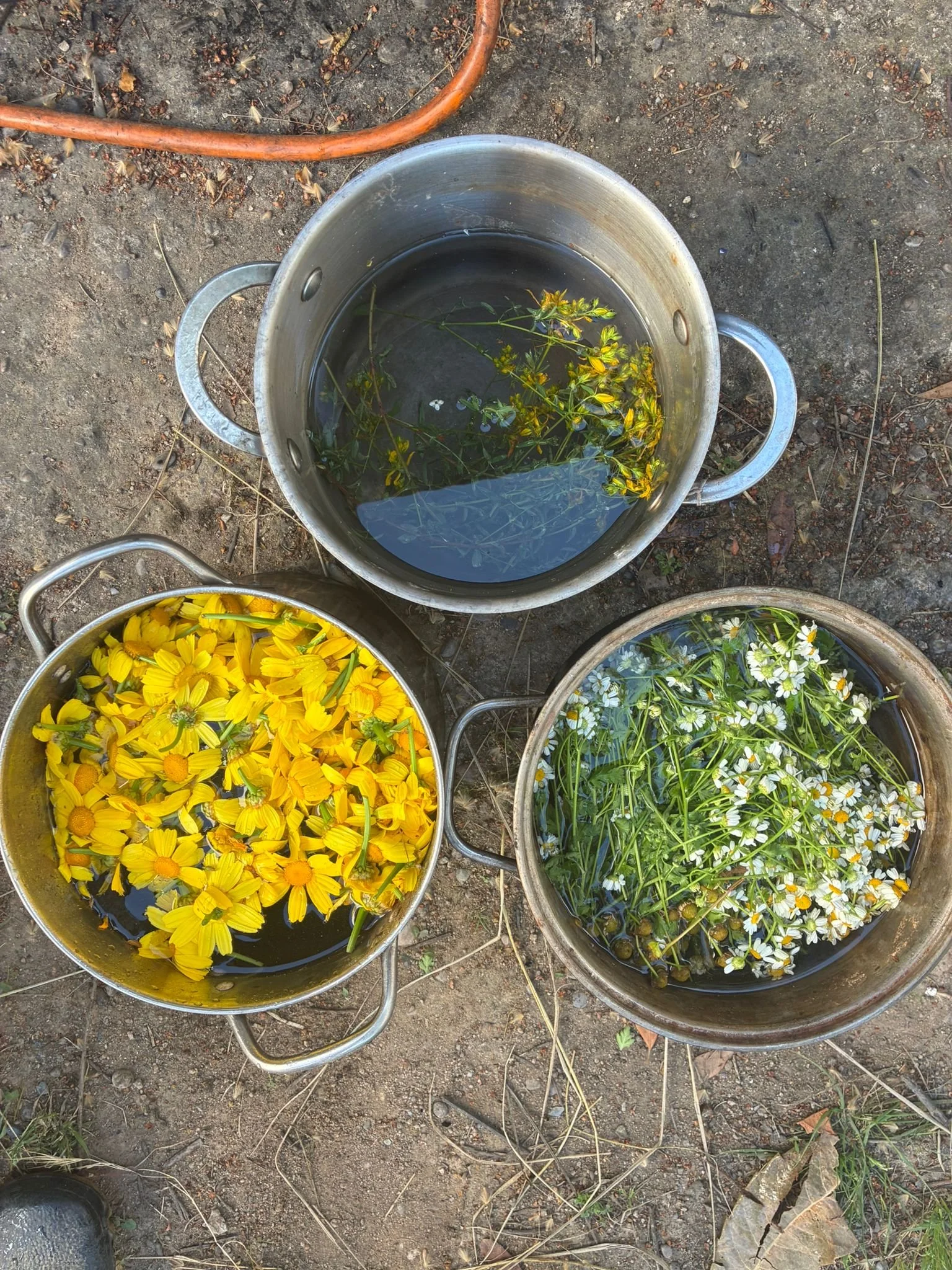 WhatsApp Image 2026-04-26 at 21.56.14 (1).jpeg