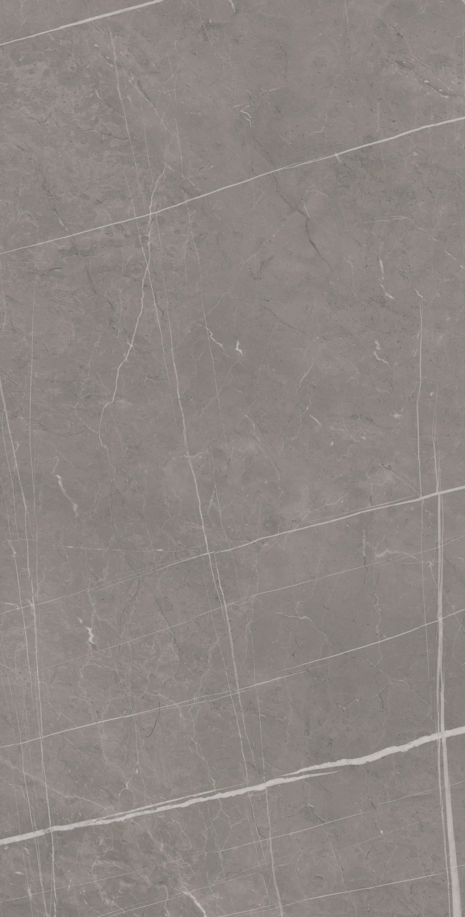 Stonehenge Grey 60x120 (5).jpg