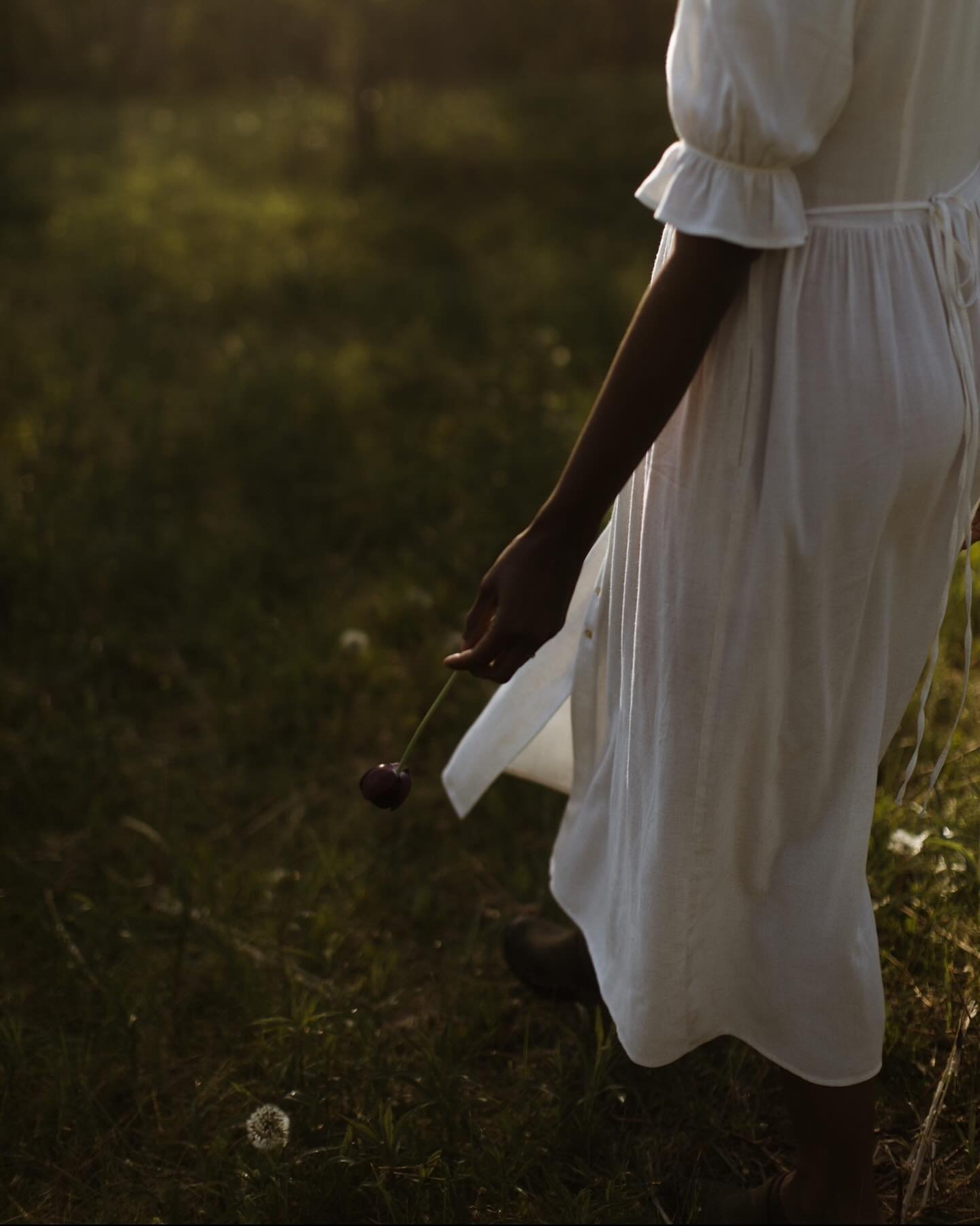 happy herbalist day | beyond grateful to journey along this plant path and all those who have shared their plant journey with me. grateful for you. the plants are truly a gift from the earth and their presence in my life have brought other kindred he