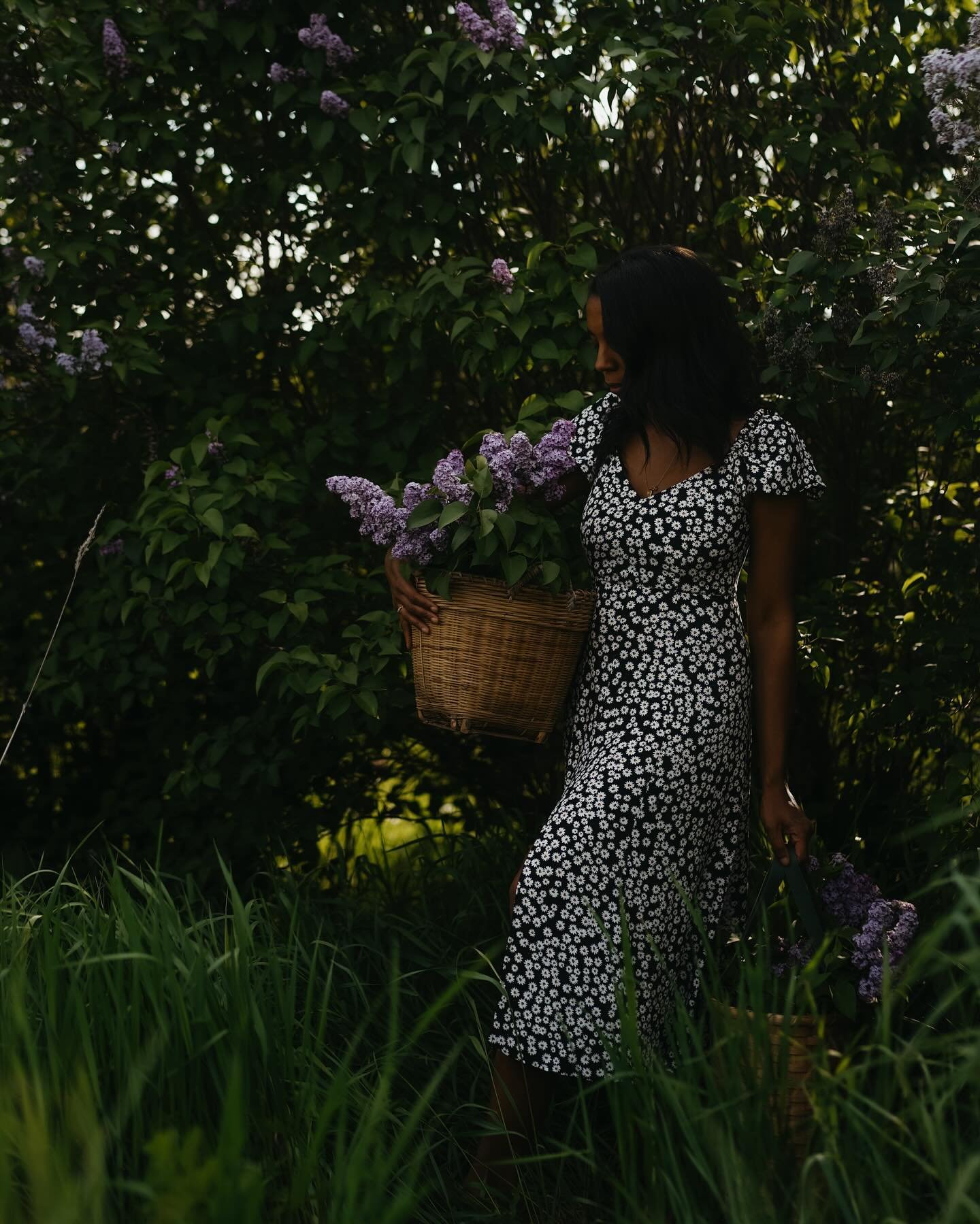 hello, i&rsquo;m alyson, and i&rsquo;m completely besotted with spring flowers. dashed out to gather lilacs before the rain, i feared i might be too late. the essence of lilacs help us &ldquo;confront painful memories and trauma, but allow us to hold