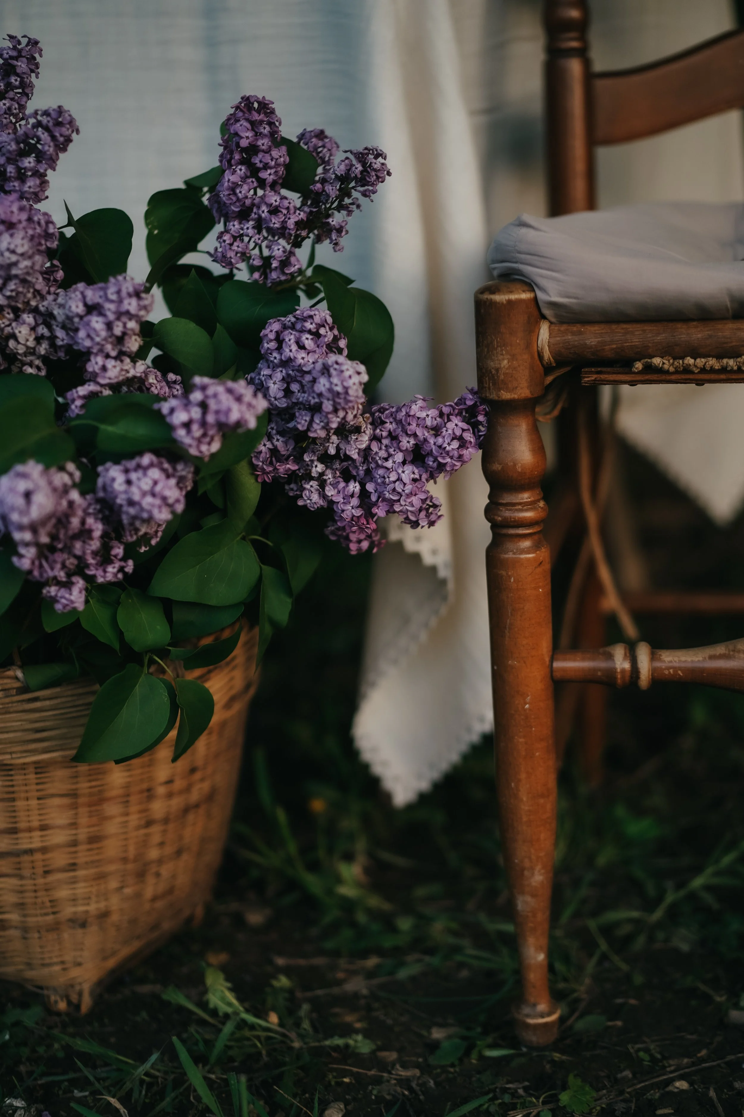 The joy & folly of country living | A lilac prelude