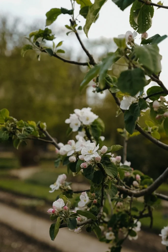 Exploring Paris with Kids