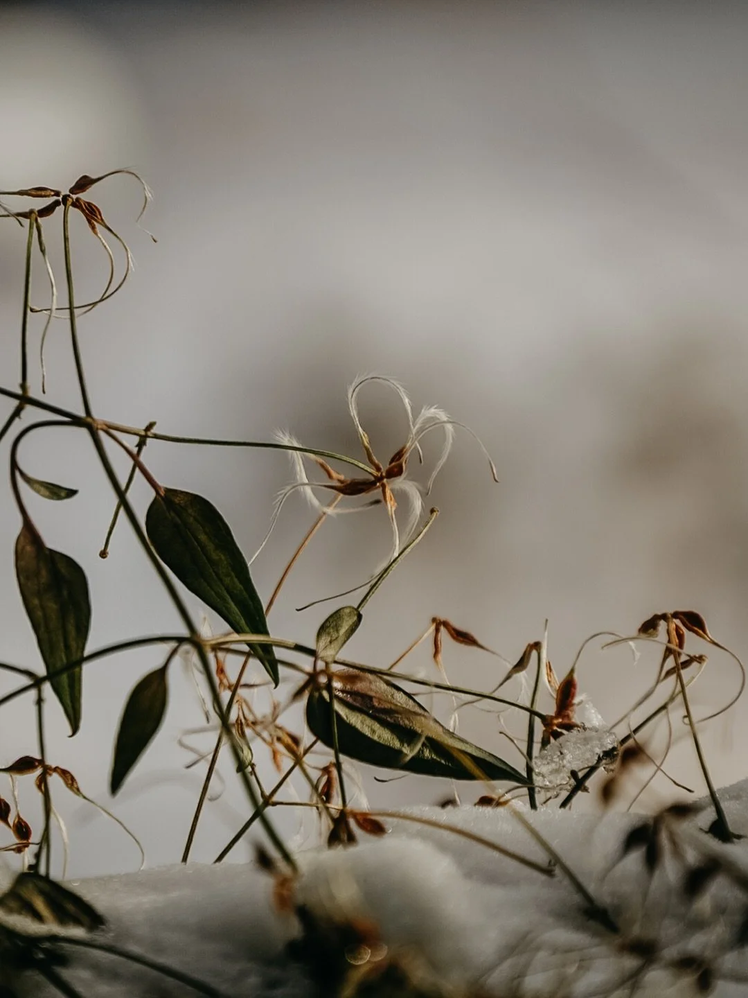 the still point | and at once all the pain, the laughter, the running, the hustling, the peaks &amp; valleys of the year, of the last five years, really, collapsed into and filled one moment, reverberating into a single solitary word throughout my bo