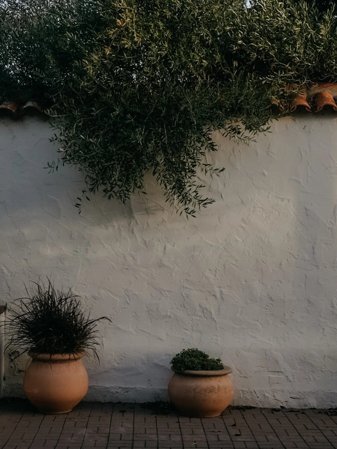 a california christmas | it&rsquo;s been too long&hellip;