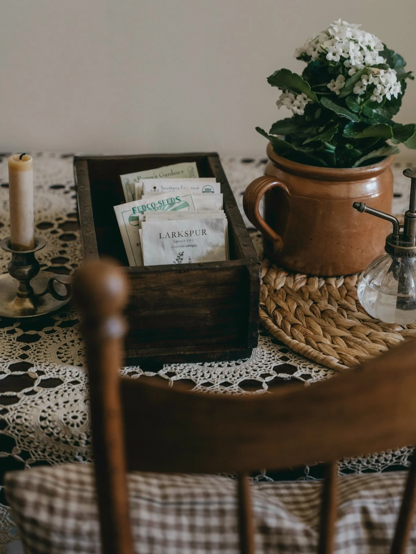 just a little morning psa:
the future is unsettled ground&mdash;fertile soil.
not fate, nor stone.
nothing is fixed.
every second is new earth
asking what you&rsquo;ll do with it.
plant wisely.

#hopecore #cottageliving #notestoself #wintering