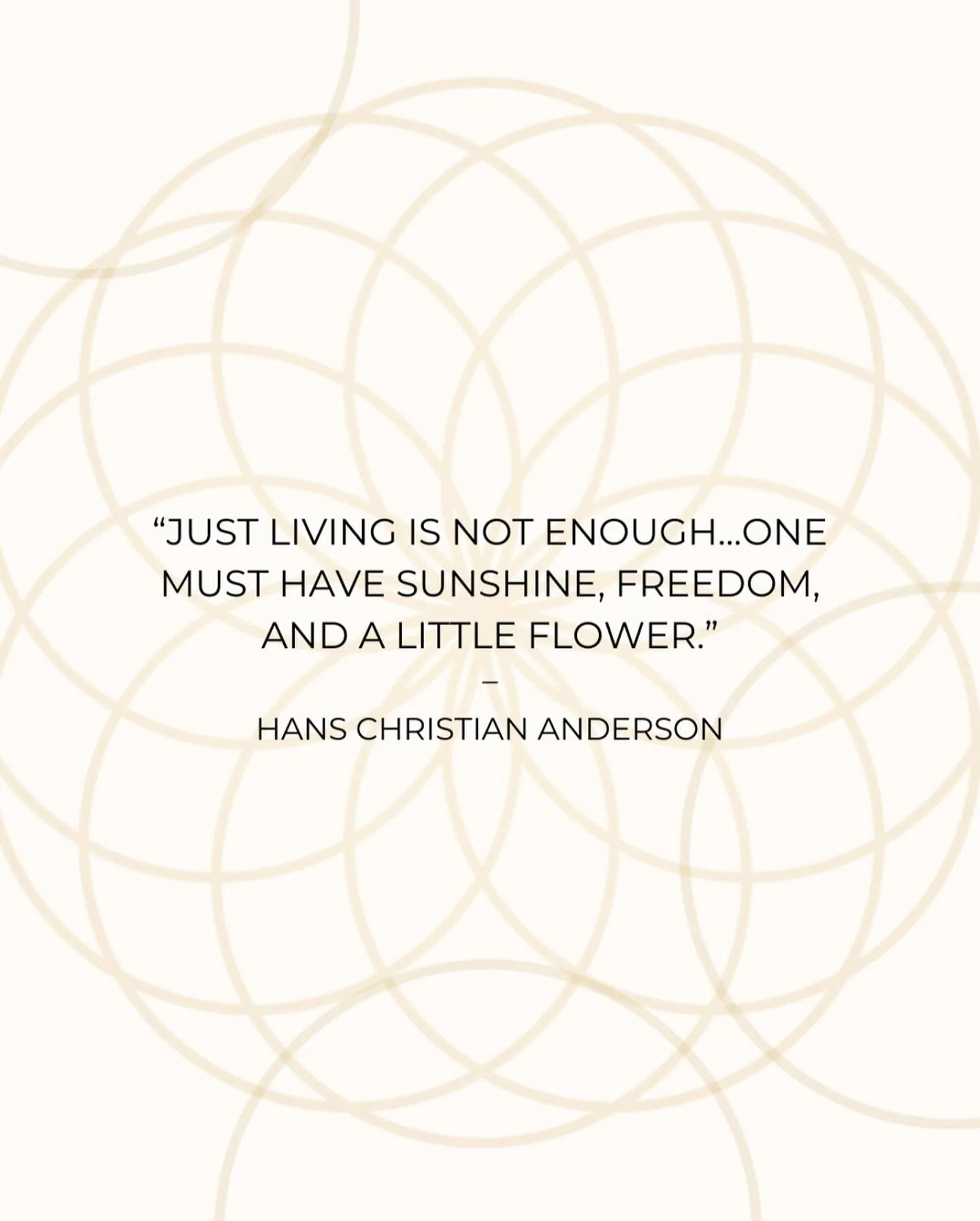 Gandhi reminds us that our connection to the earth runs deep. He suggests that by forgetting these fundamental practices, we lose touch with our own selves, our origins, and our place in the natural world.
At Holos Diamante, we are actively stewardin