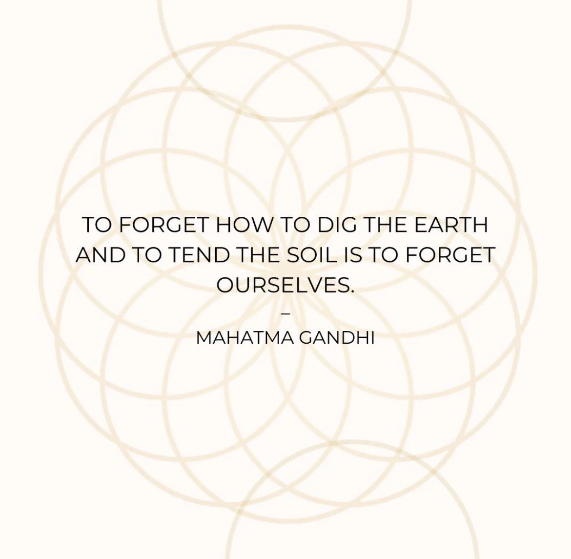 When we forget how to care for the Earth, we forget parts of who we are.
Our roots run deep in soil, sun, and seasons.
To remember nature is to begin the journey back to ourselves.

#HolisticLiving #Wholeness #SelfDiscovery #NatureConnection #Communi