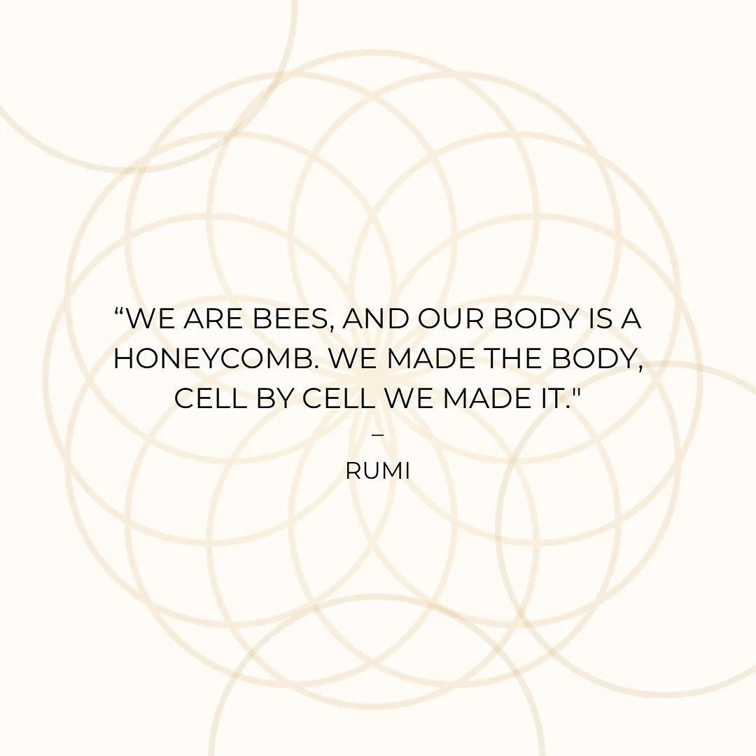 Like bees, we build patiently, intentionally, with love.
Every thought, every choice, every act of care shapes the body and the world around us. 🐝

#Holos #HolosRetreatCenter #RetreatLife #LivingInTheJungle #InvestInTheJungle #HolosCommunity #Consci