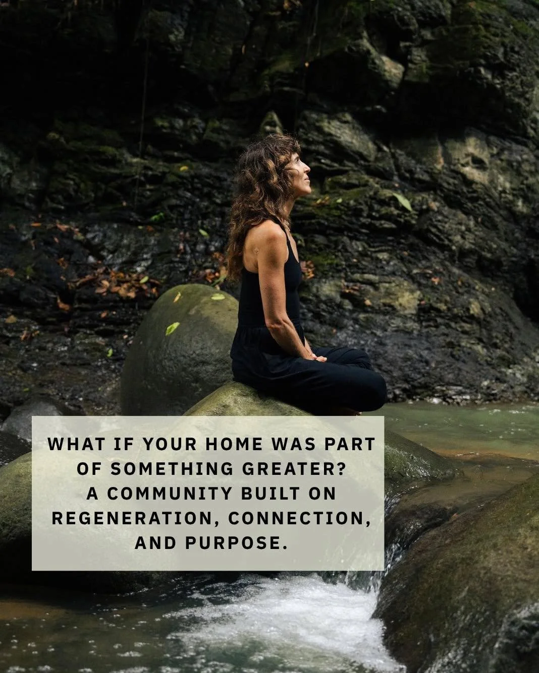 At Holos, living means belonging, to the land, to a rhythm, to a vision of regeneration.
Wake up with the jungle, swim in clear waterfalls before work, and share harvests grown by local hands that care for the Earth as much as you do.
Here, sustainab