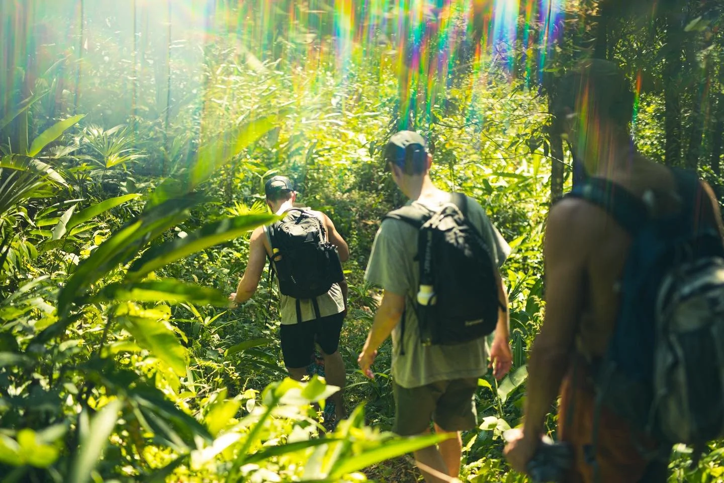 Every path at Holos leads somewhere beautiful, sometimes to a waterfall, sometimes to a deeper sense of presence.

Here, exploring the land is also an invitation to explore yourself.

Because every step through nature reminds us what it means to walk