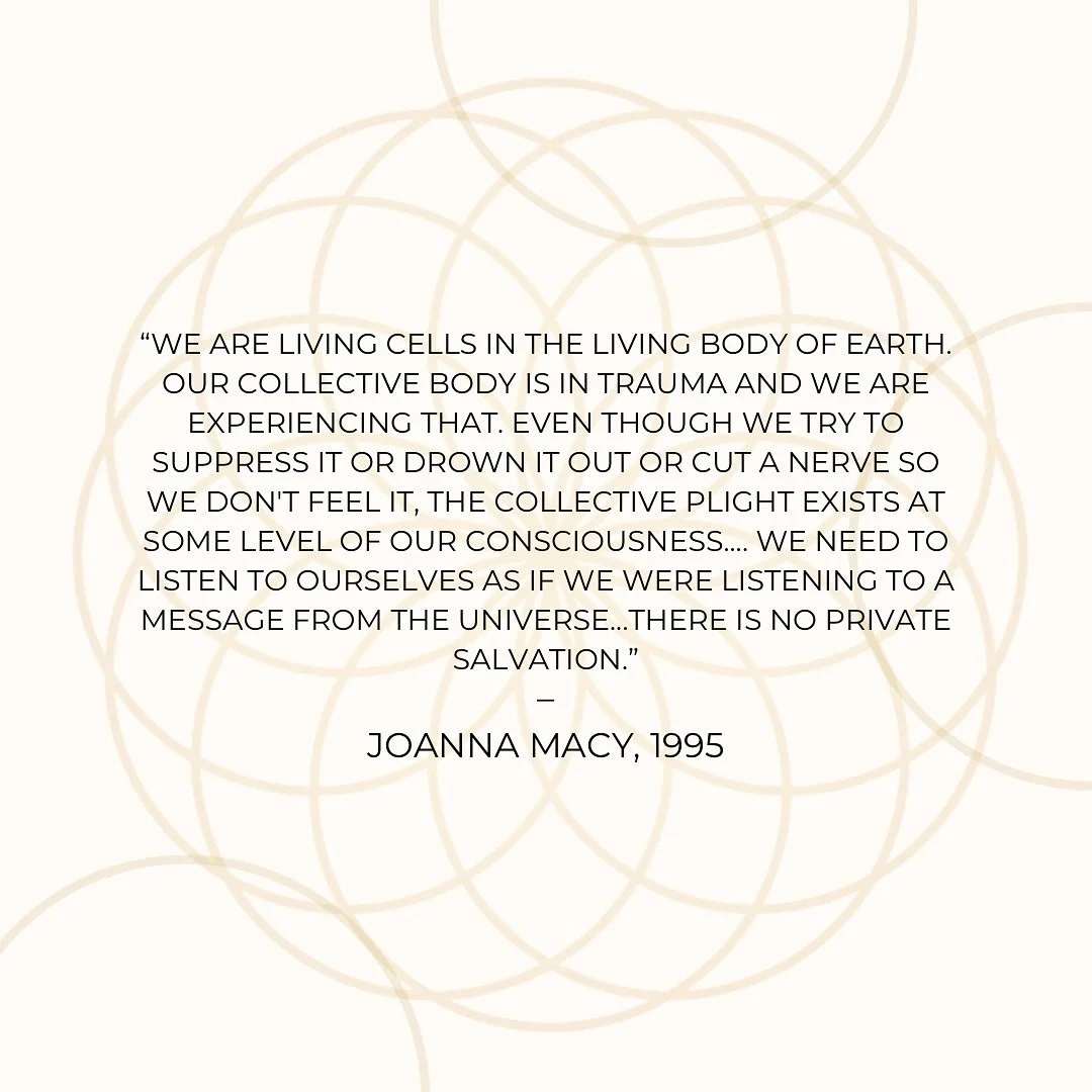 We are not separate from the Earth.
We are cells in her living body.

What we feel, the anxiety, the ache, the overwhelm, is not only personal. It&rsquo;s collective.
It&rsquo;s the Earth speaking through us.

#CostaRicaRetreat 
#RetreatInCostaRica 
