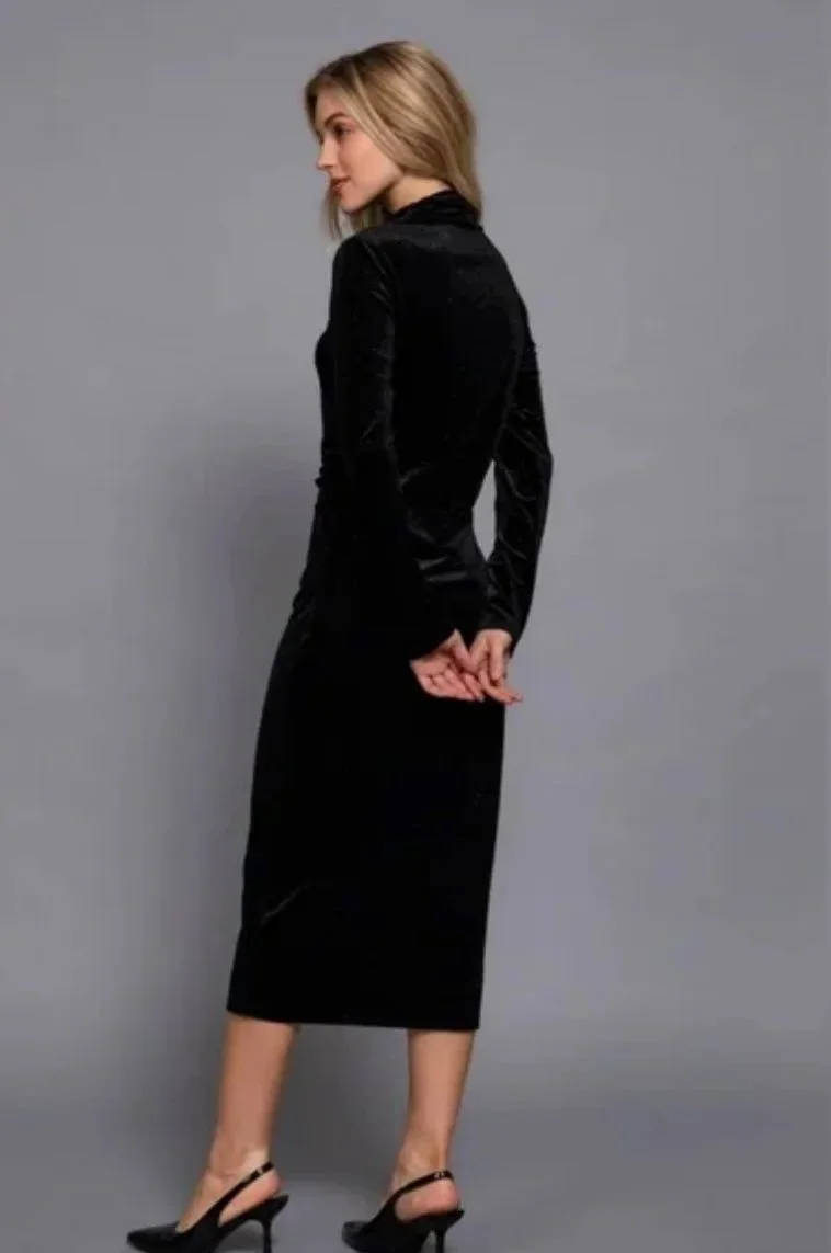 Glimmering Elegance Velvet Dress _ Back.jpeg