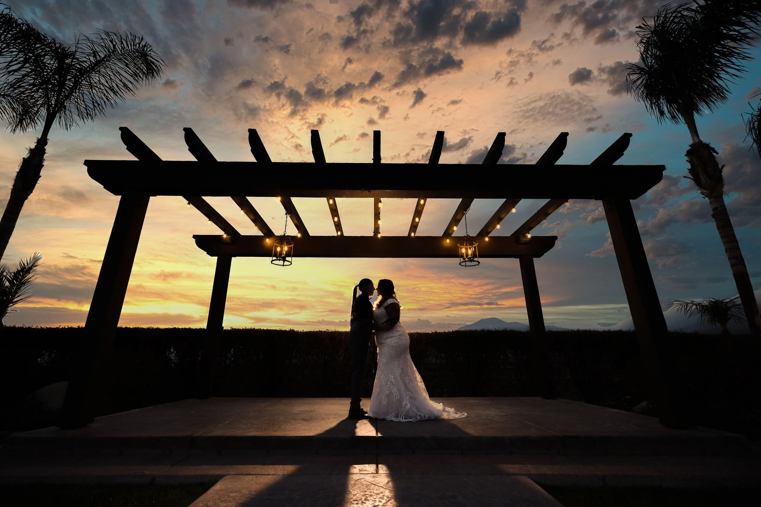 The Grove of Redlands Wedding Sunset Silhouette Photo | by Nicholas Sitarski