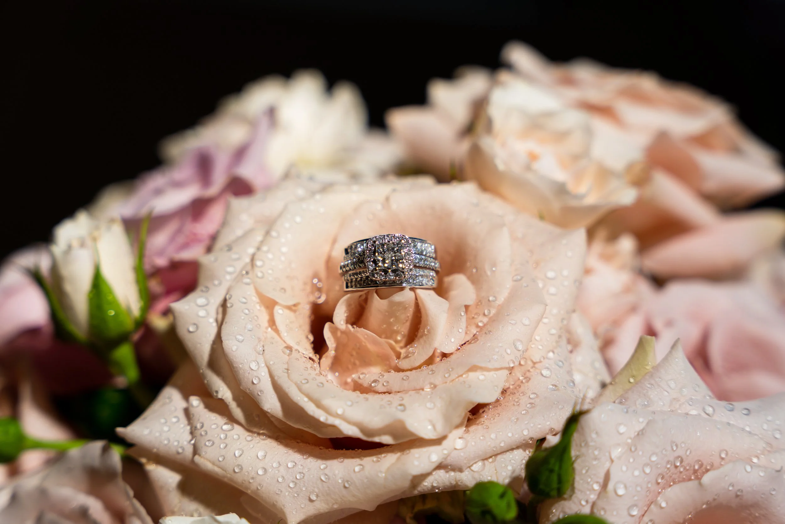 The-Grove-Redlands-Wedding-photos-Wooden-California-February-2022-Nicholas-Sitarski-Photography (11 of 468).JPG