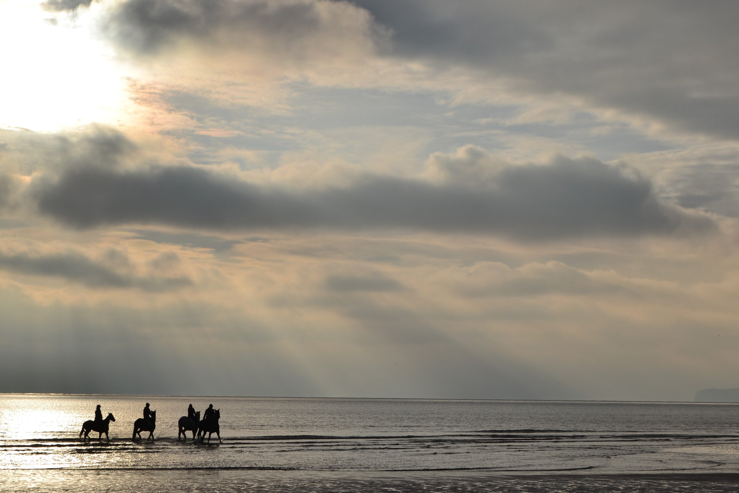 Freedom on the Shore