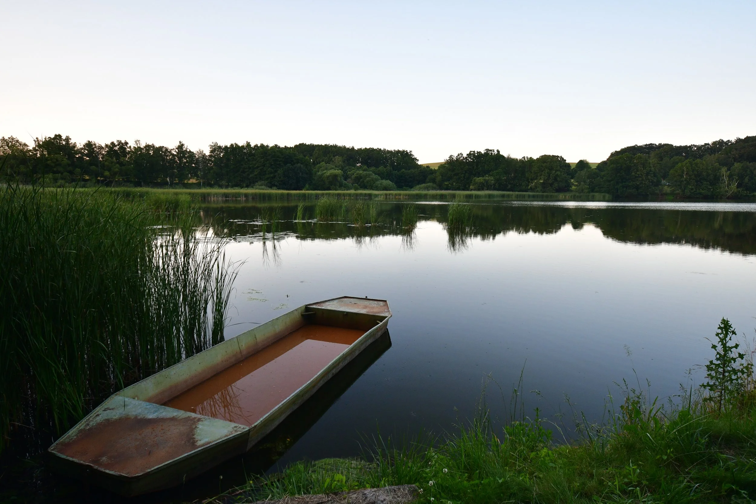 Tranquil Waters