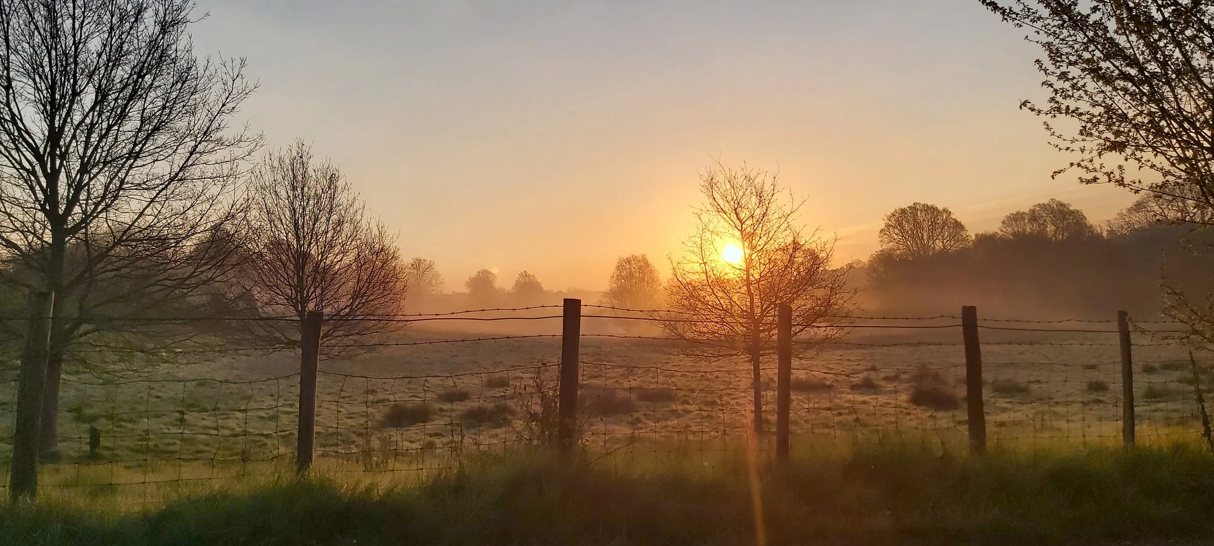 A Gentle Awakening