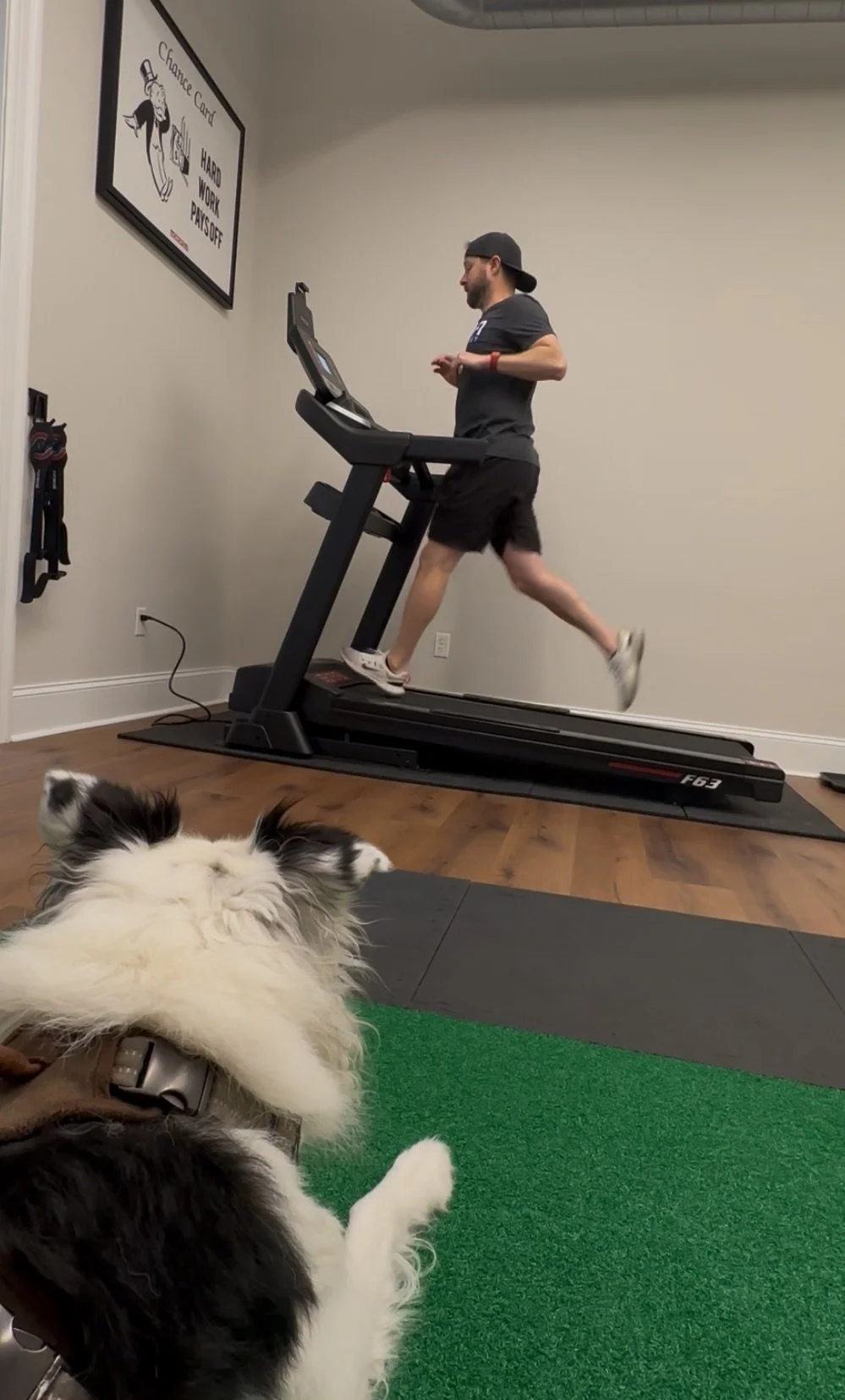Stop Achilles Pain Before It Stops You