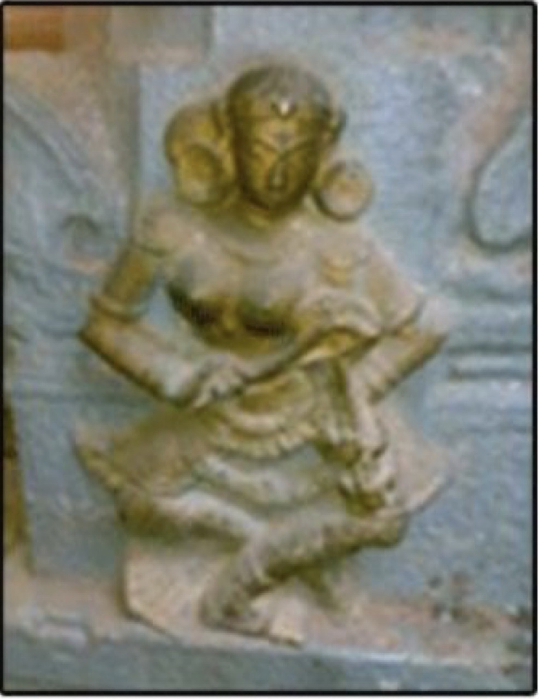 The Origin of the Violin