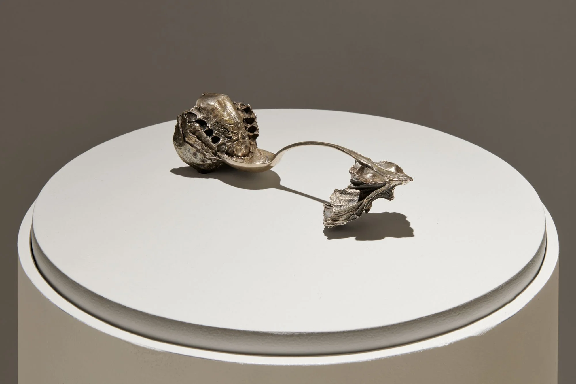 20240913_he_WSP-YesChef-exhibition_0543.jpg