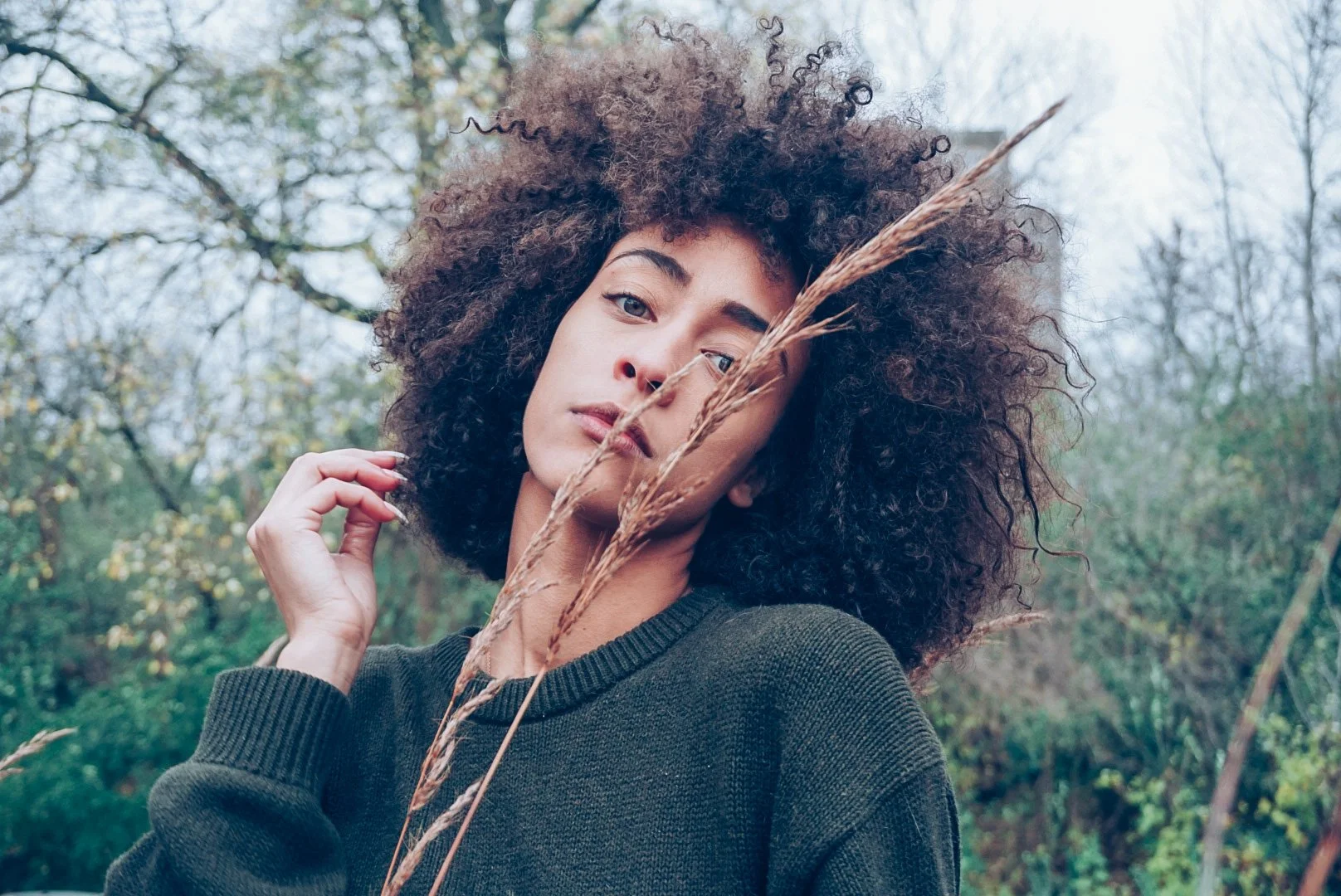 A woman with naturally curly hair standing outdoors near trees, holding dry grass in front of her face, wearing a dark sweater.