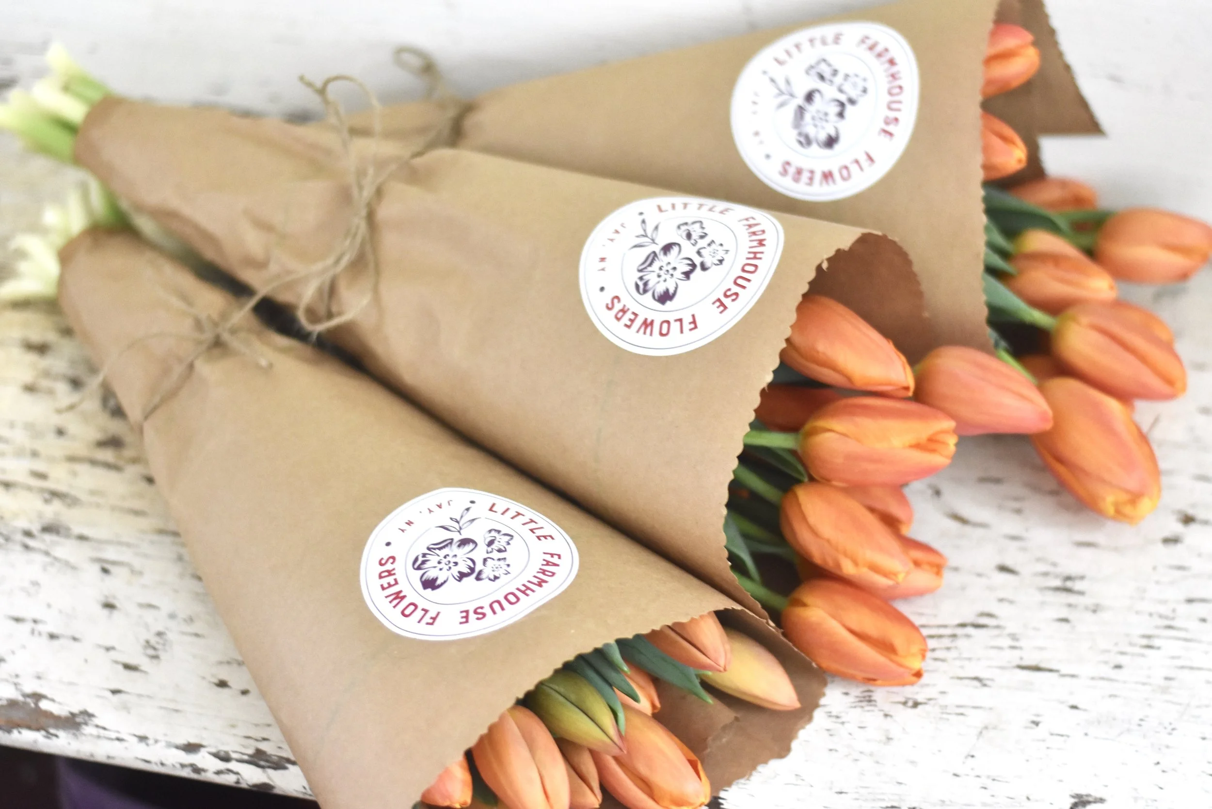 I took the first Tulip Workshop.
