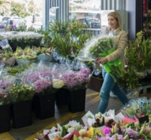 Brisbane Flower Market 