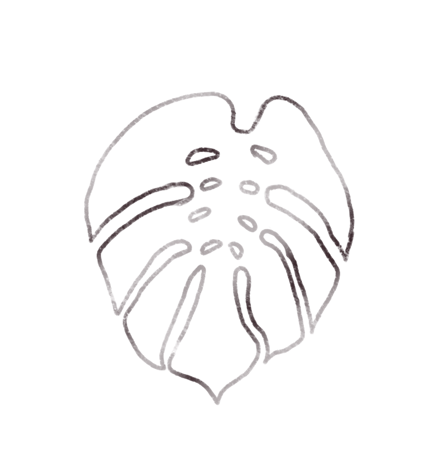 Hand-drawn monstera leaf.