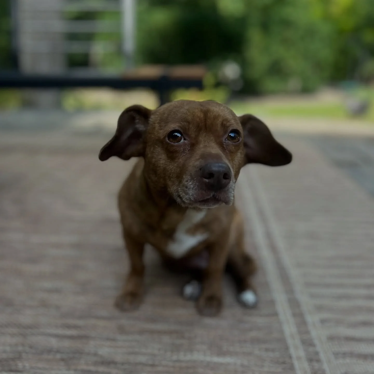 How cute is Hudson?!