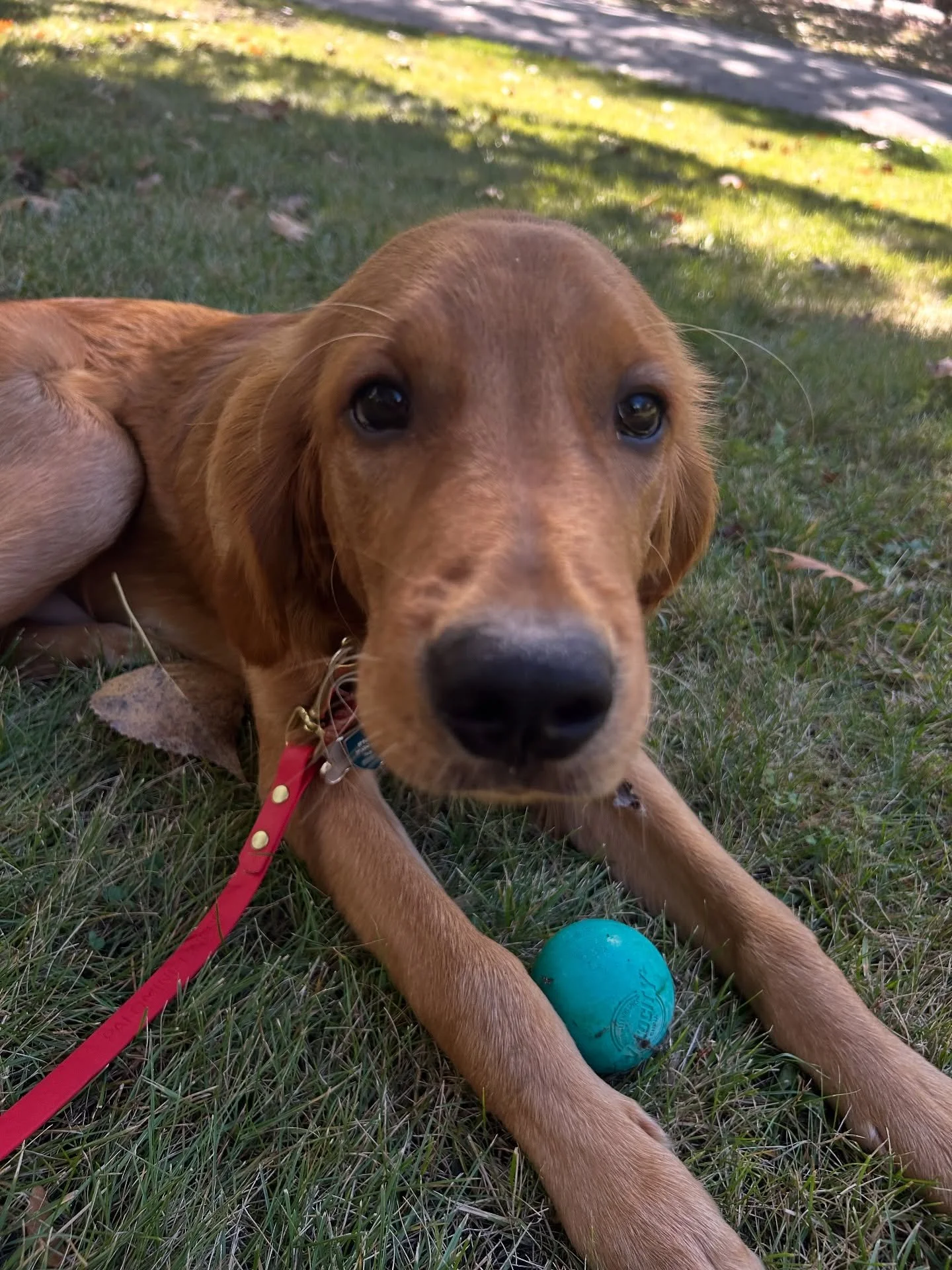 Helloooo from Finn 😍😍