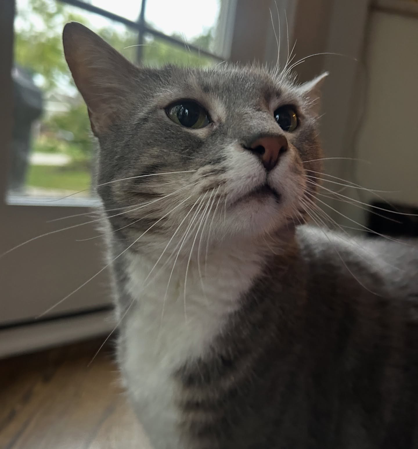 Zoey&rsquo;s looking for some treats 👀