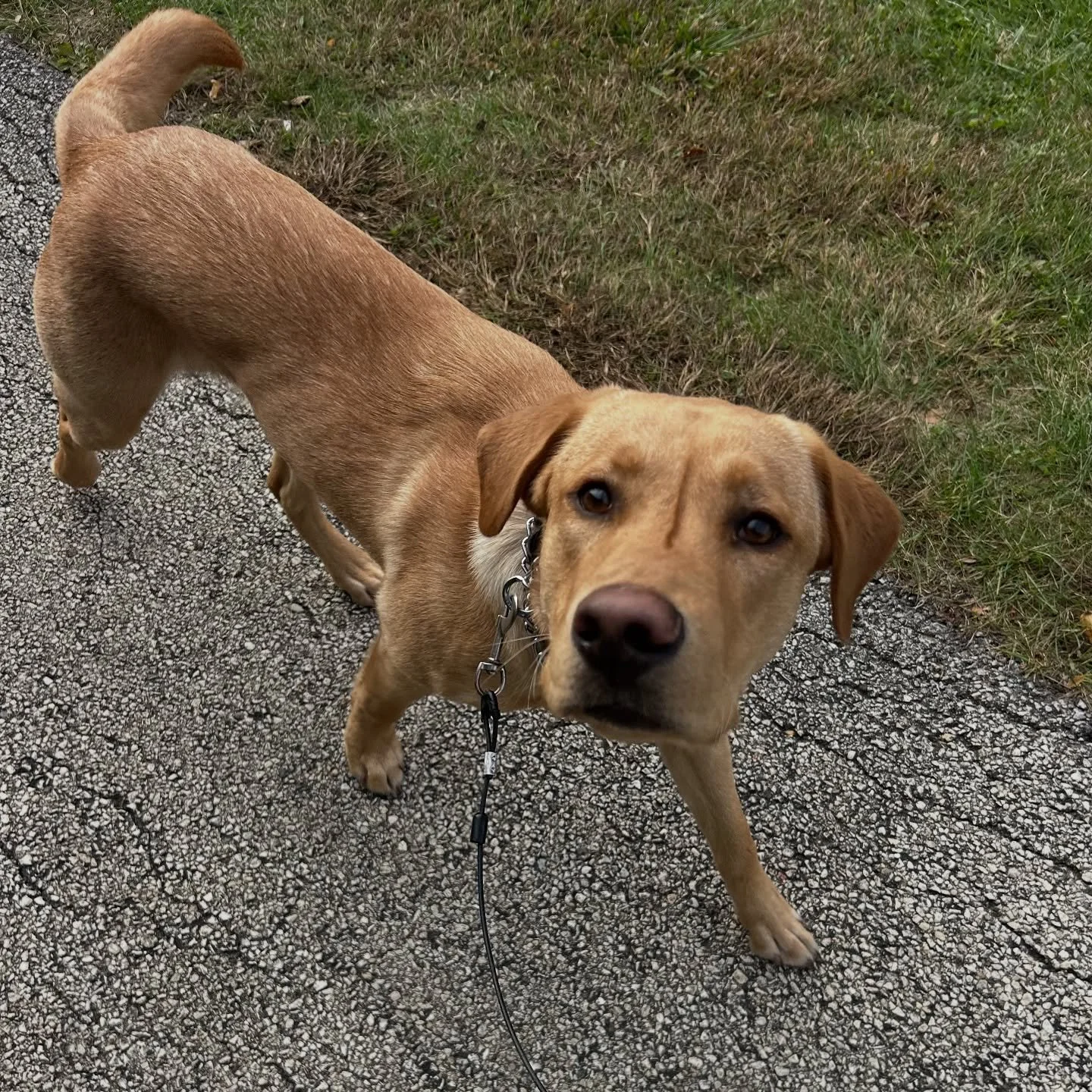 Oh my gosh, isn&rsquo;t Rocky just the cutest?!