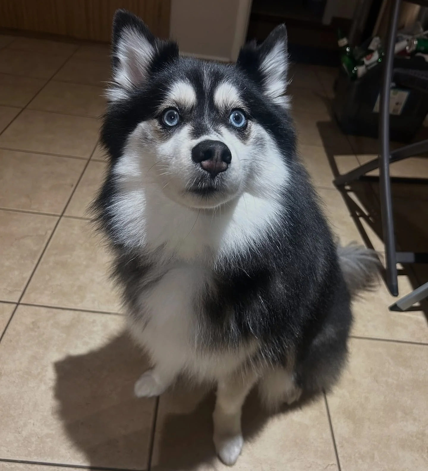 We always love visiting Tilly!