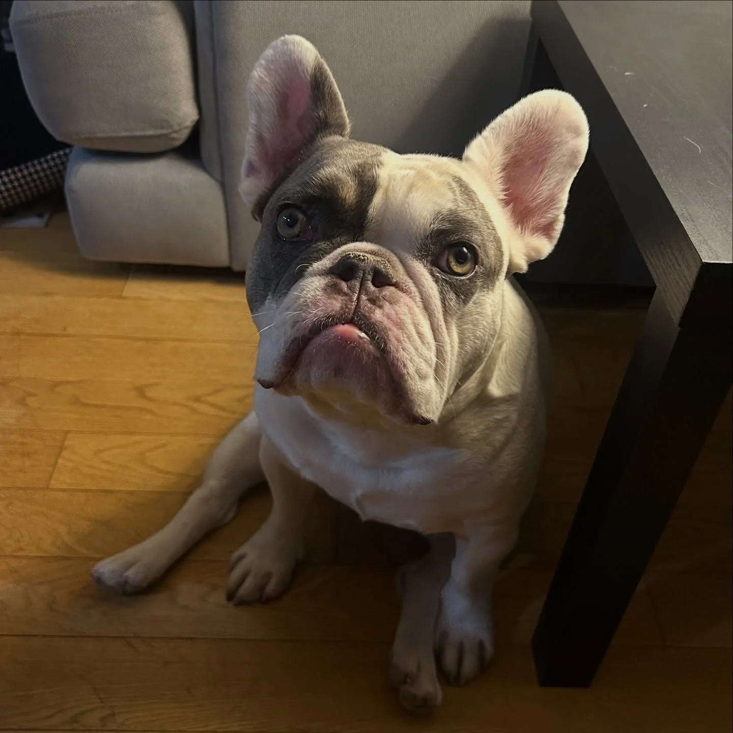 Mack is the most handsome hunk!